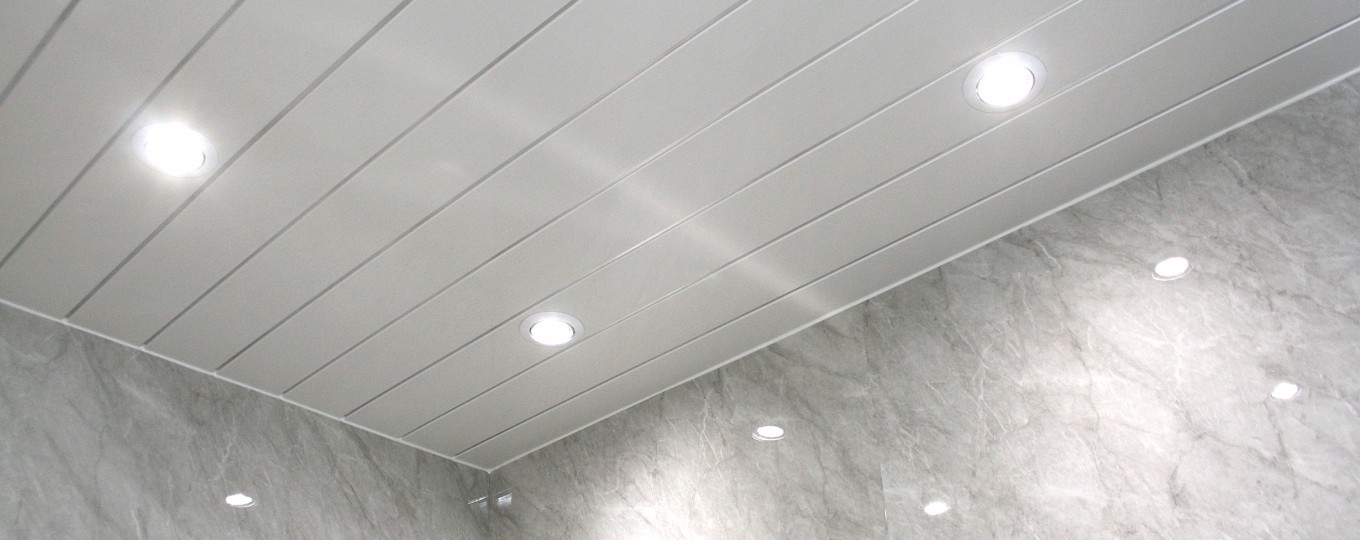 Wwp5w S Whitesilver Ceiling Panel