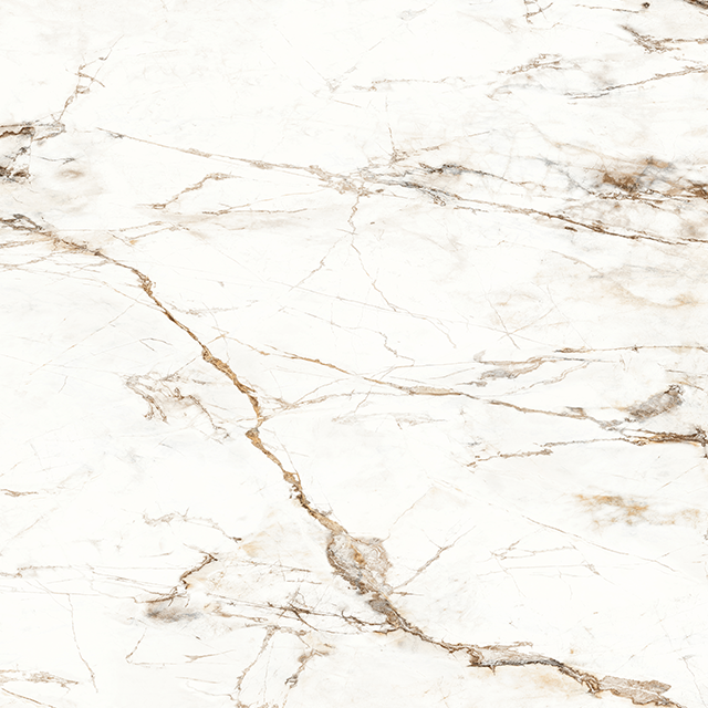 MainimageWWLPFE640x640