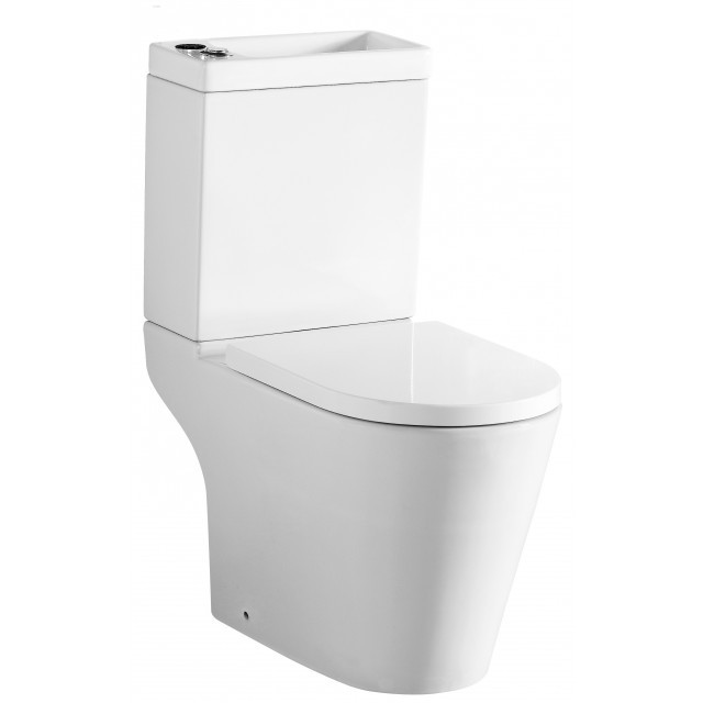 2 In 1 Toilet Image